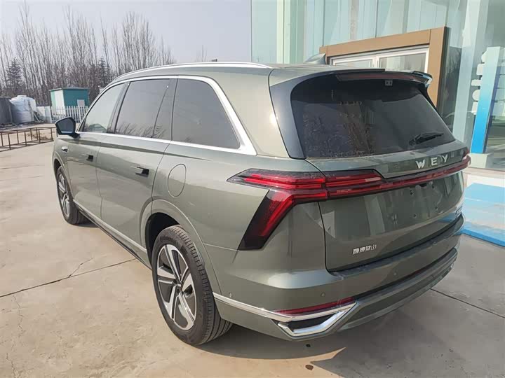 Фото 5 - Wey Lanshan