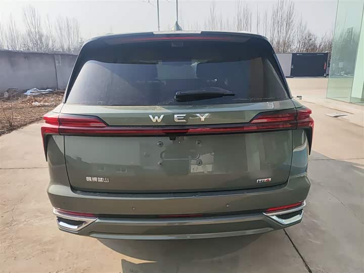 Фото 6 - Wey Lanshan