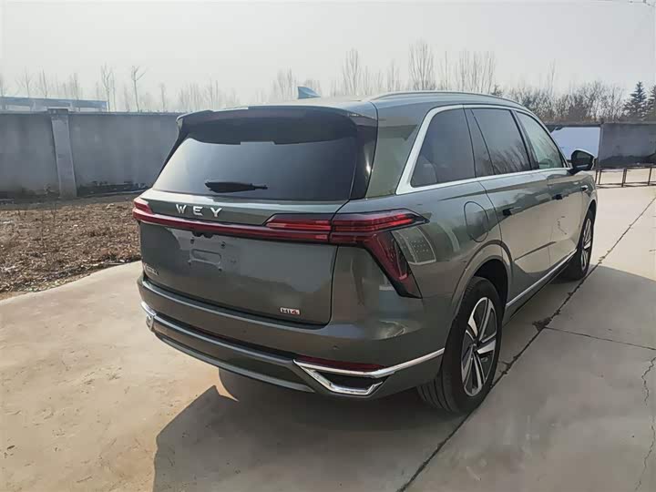 Фото 7 - Wey Lanshan