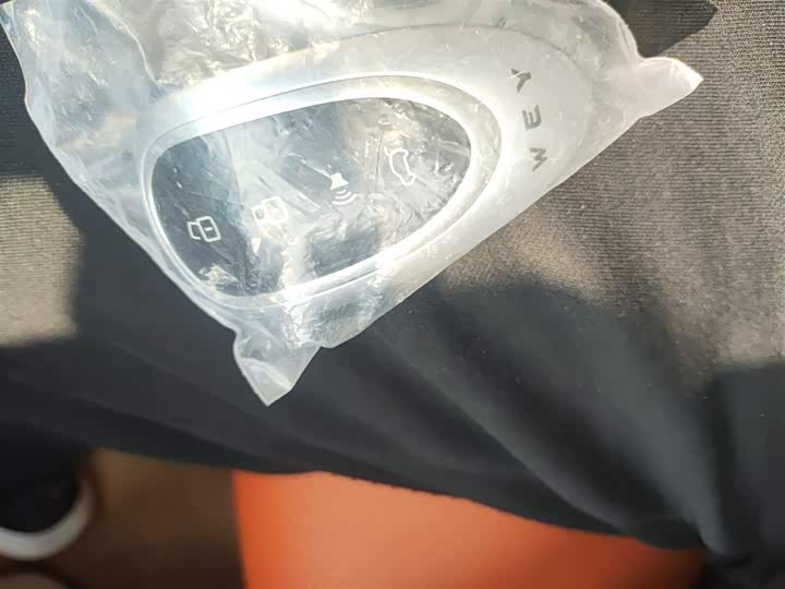 Фото 9 - Wey Lanshan