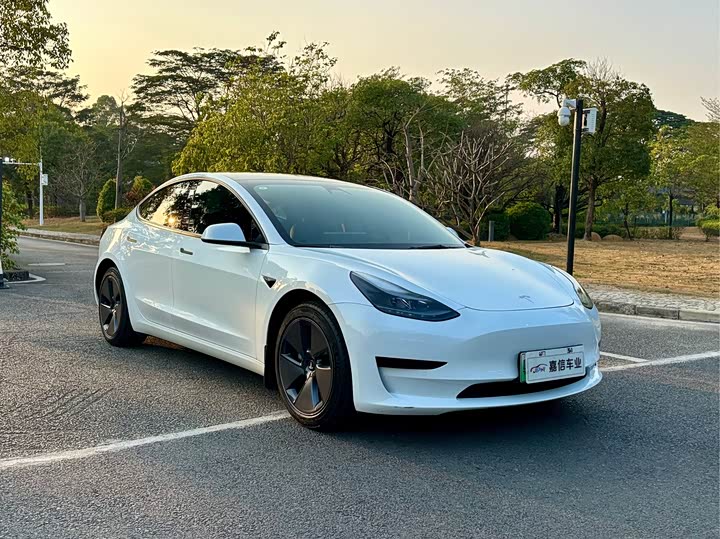 Фото 3 - Tesla Model 3