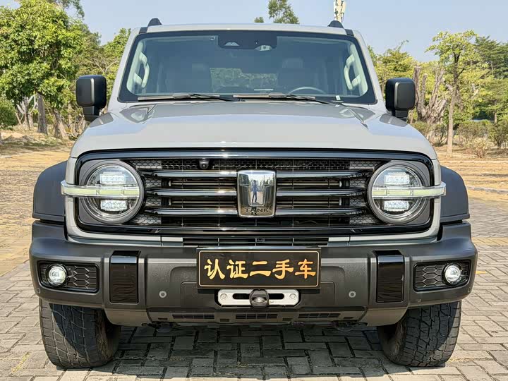 Фото 2 - Tank 300