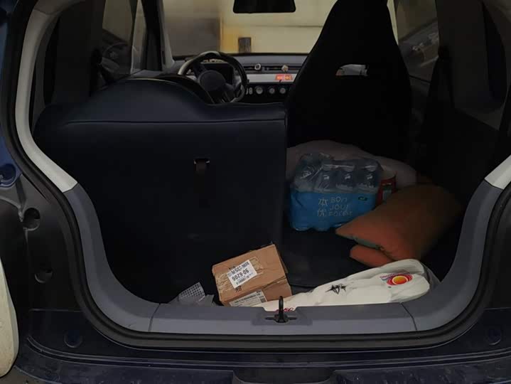 Фото 4 - Bestune Pony