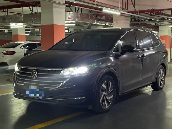 Фото 4 - Volkswagen Viloran