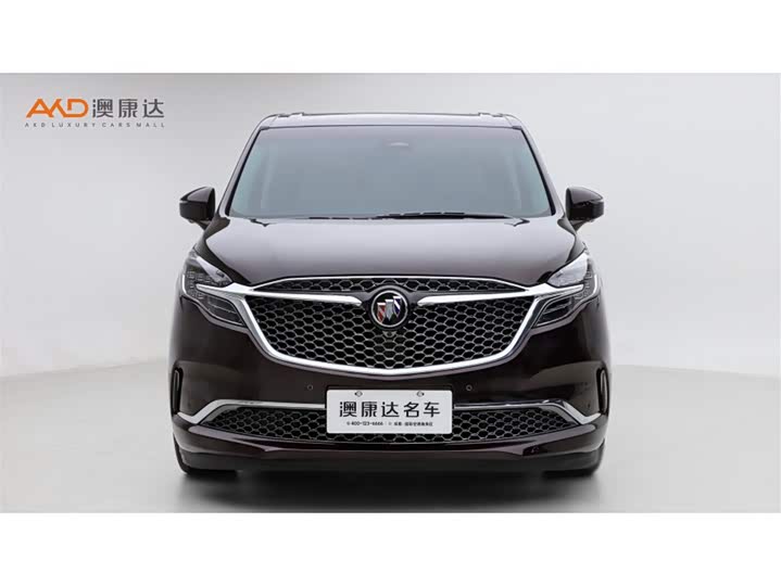 Фото 2 - Buick GL8 ES