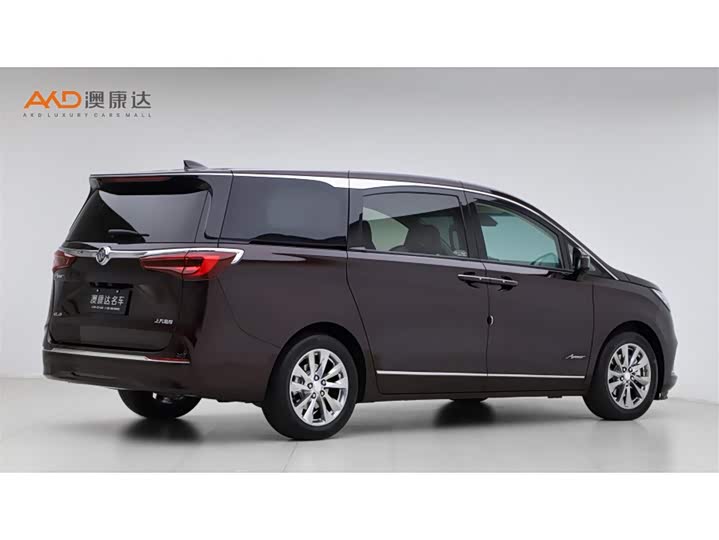 Фото 3 - Buick GL8 ES