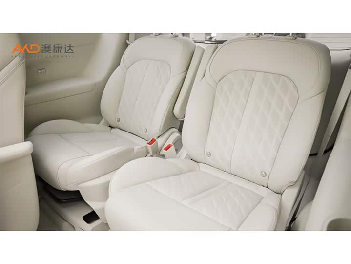 Фото 9 - Buick GL8 ES