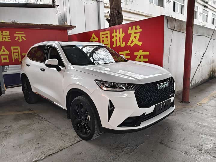 Фото 3 - Haval H6S