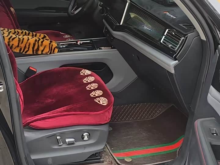 Фото 5 - Volkswagen Teramont X