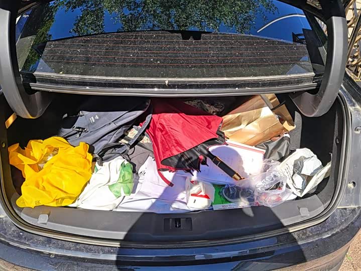 Фото 4 - Hongqi E-QM5