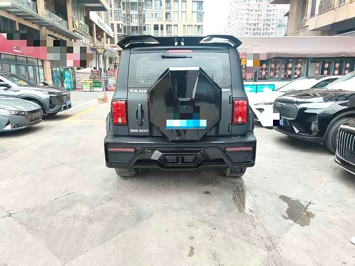 Фото 8 - Tank 300