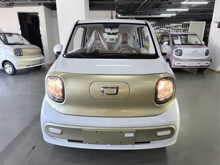 Фото 3 - Bestune Pony