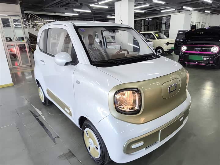 Фото 4 - Bestune Pony