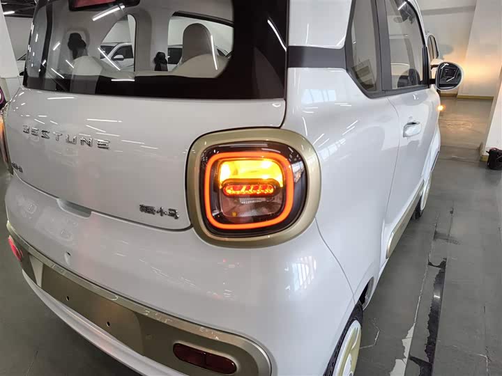 Фото 8 - Bestune Pony