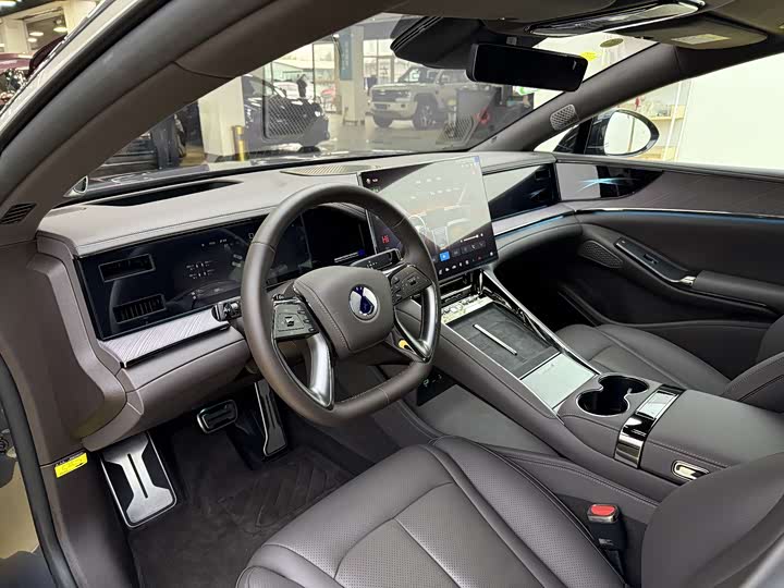 Фото 5 - Denza Z9