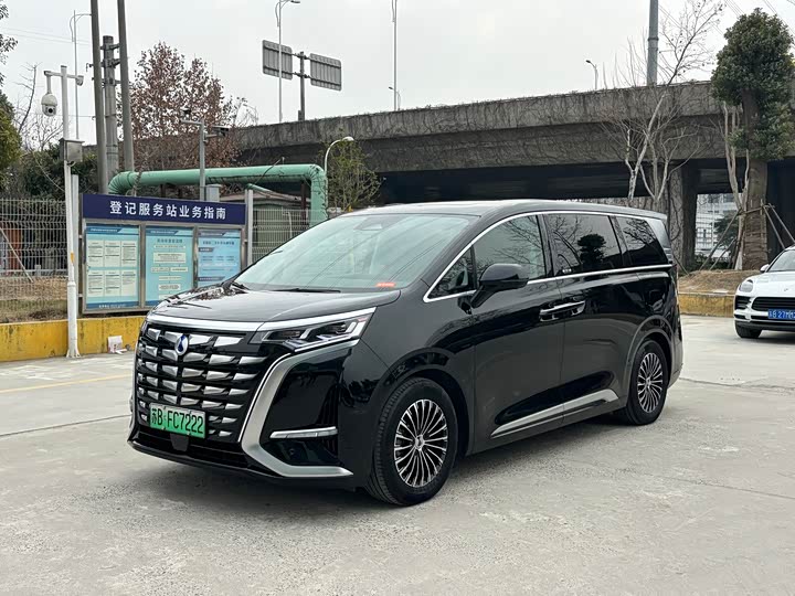 Фото 1 - Denza D9