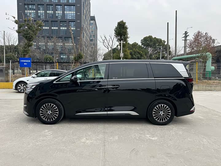 Фото 2 - Denza D9