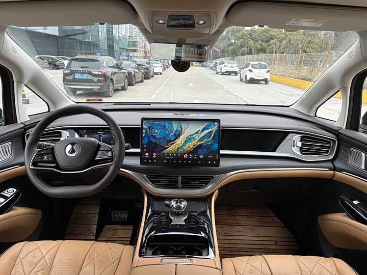 Фото 6 - Denza D9