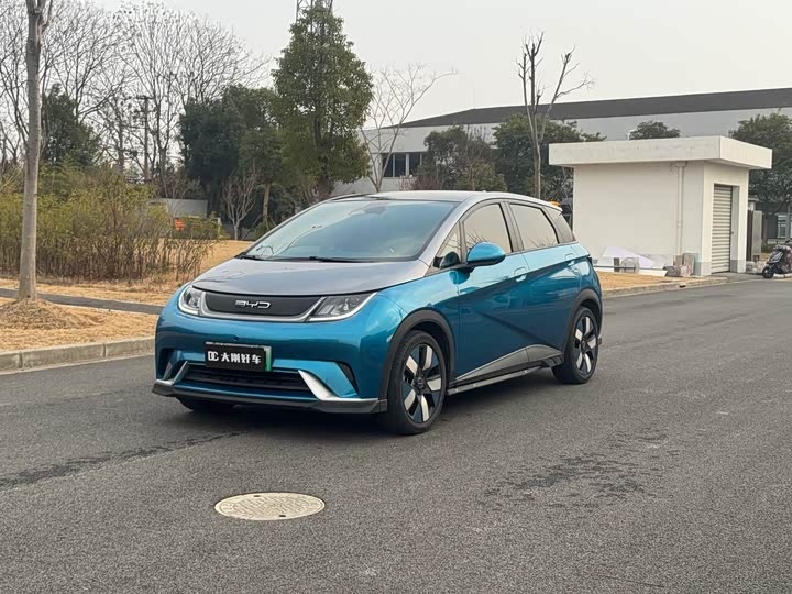 Фото 1 - BYD Dolphin