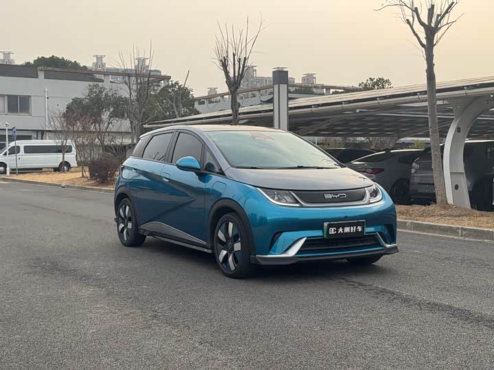 Фото 3 - BYD Dolphin