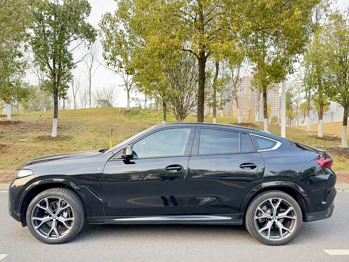 Фото 4 - BMW X6