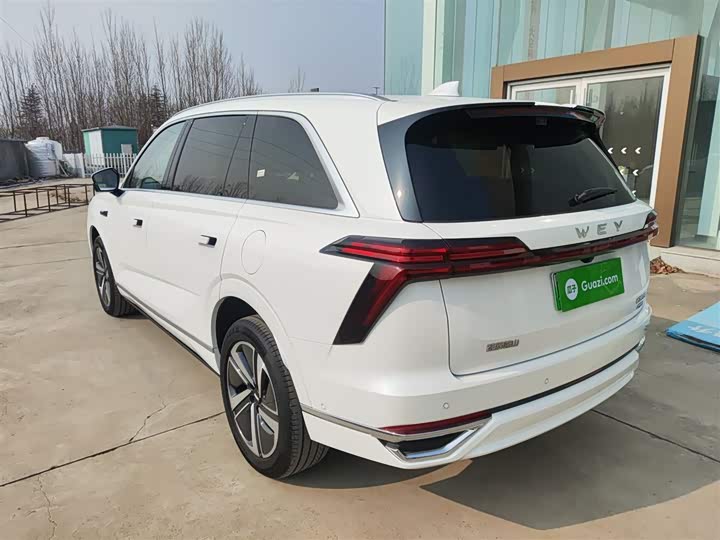 Фото 5 - Wey Lanshan