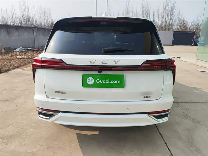 Фото 6 - Wey Lanshan