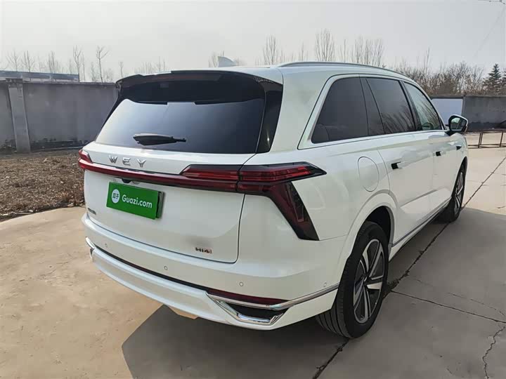 Фото 7 - Wey Lanshan