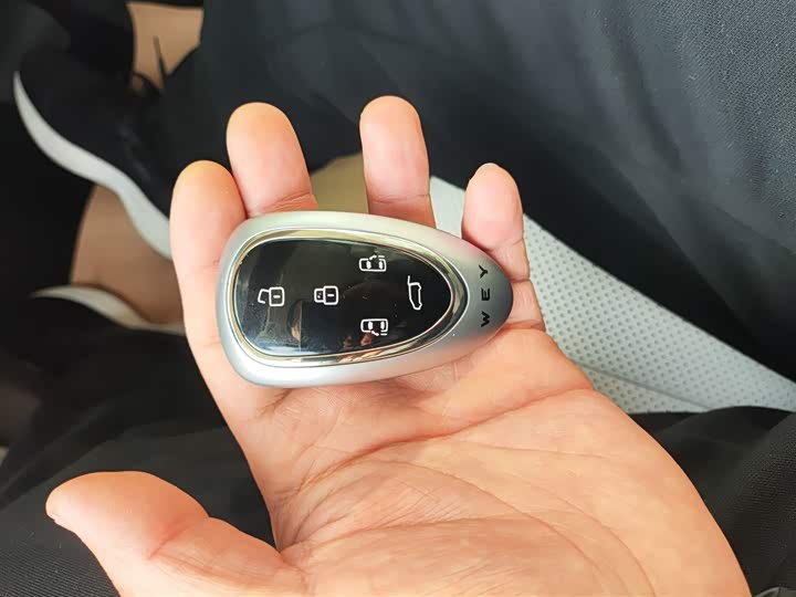 Фото 9 - Wey Lanshan