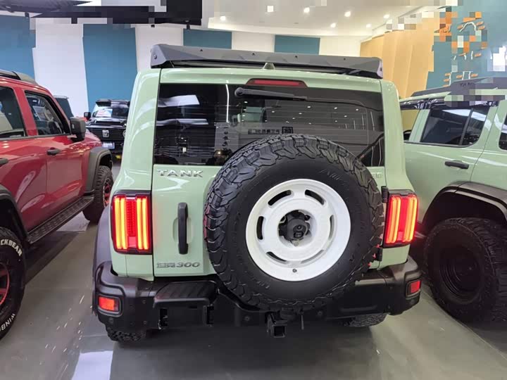 Фото 6 - Tank 300