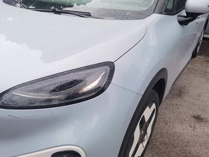 Фото 5 - BAIC Arcfox Kaola