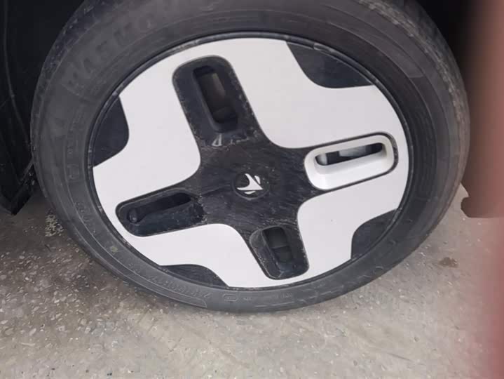 Фото 6 - BAIC Arcfox Kaola