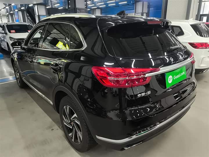 Фото 5 - Hongqi HS5