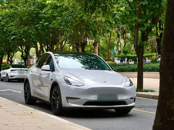 Фото 5 - Tesla Model Y