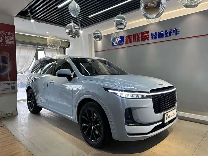 Фото 3 - LiXiang One