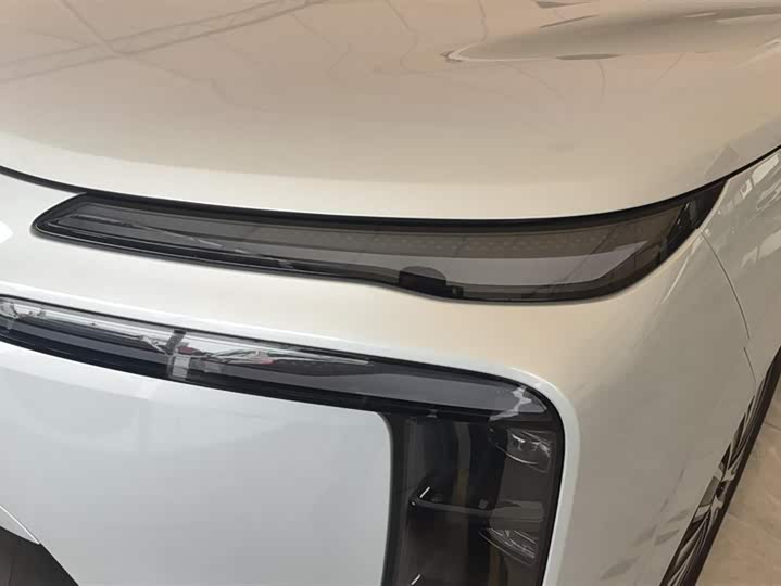 Фото 5 - Denza N8L