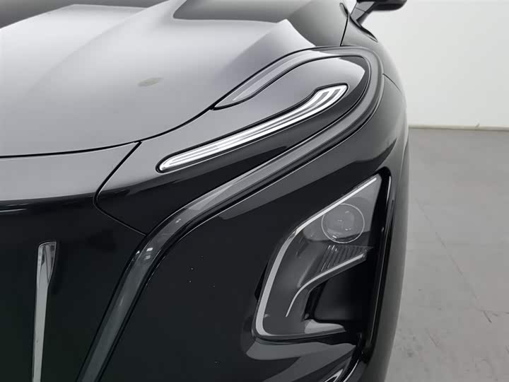 Фото 7 - Hongqi E-QM5