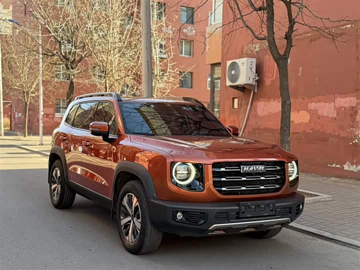 Фото 6 - Haval Dargo
