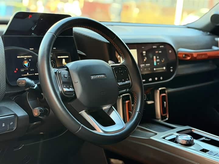 Фото 8 - Haval Dargo