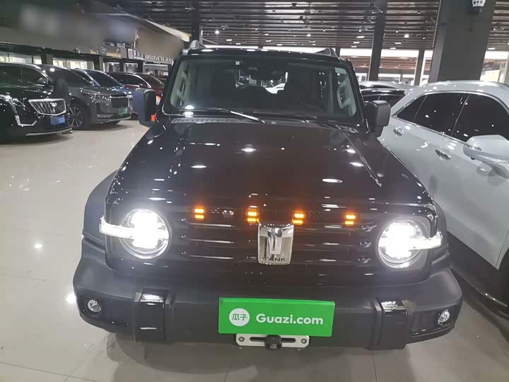 Фото 3 - Tank 300