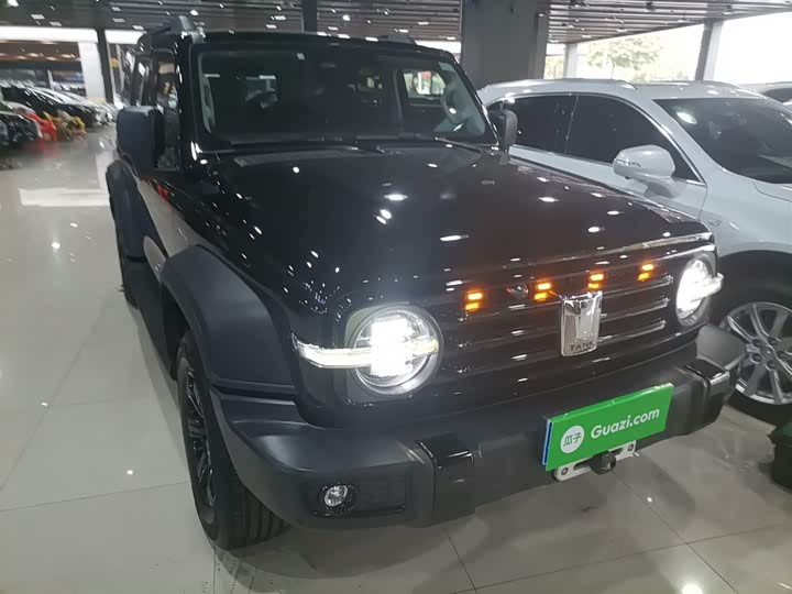 Фото 4 - Tank 300