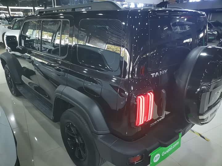 Фото 5 - Tank 300