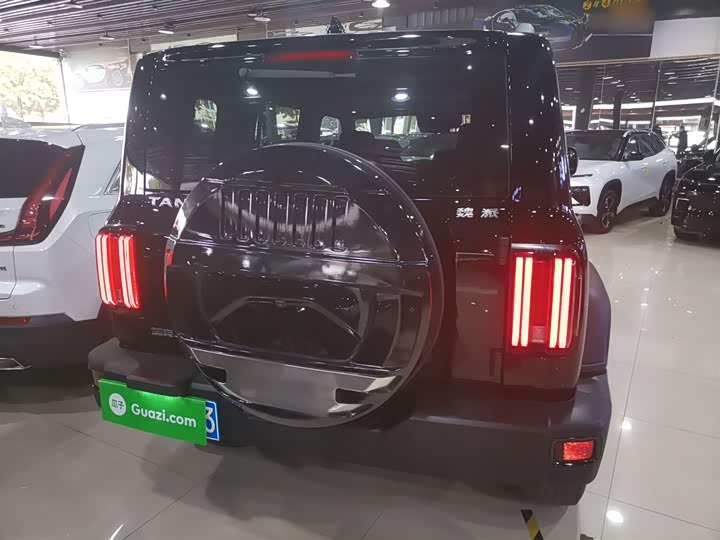 Фото 6 - Tank 300