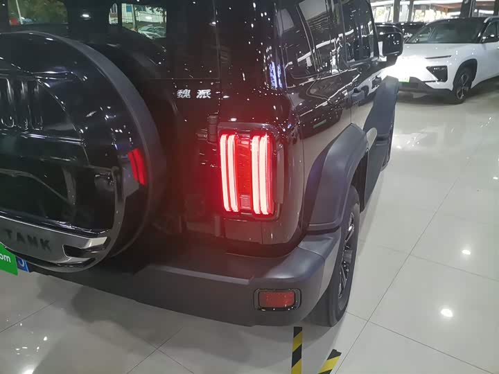 Фото 8 - Tank 300