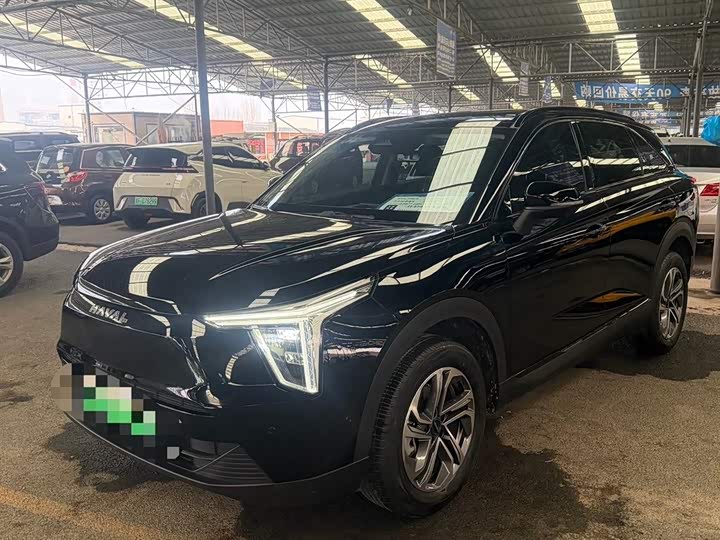 Фото 1 - Haval Ruge