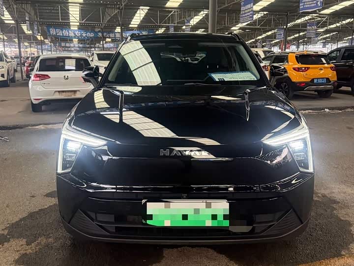 Фото 4 - Haval Ruge