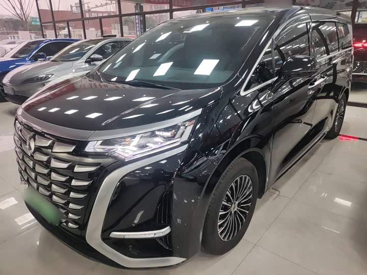 Фото 2 - Denza D9