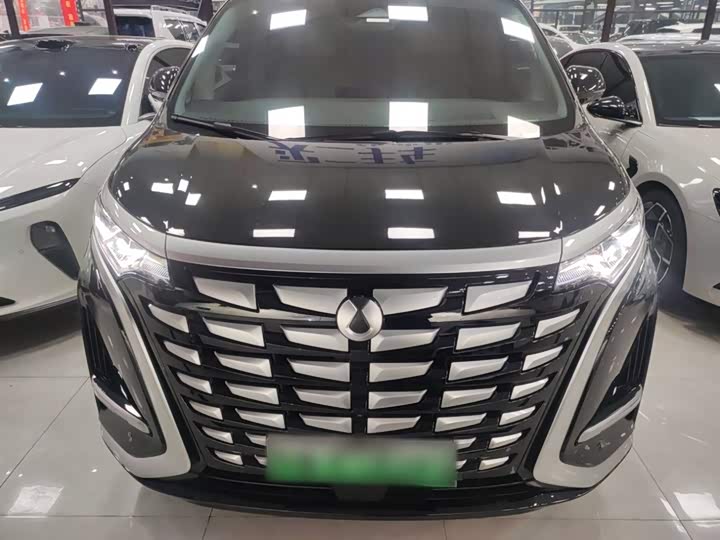 Фото 3 - Denza D9