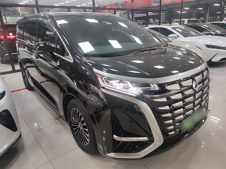 Фото 4 - Denza D9