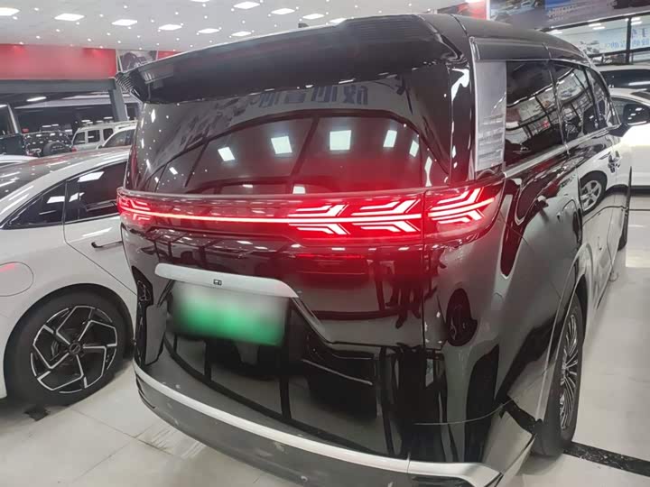 Фото 6 - Denza D9